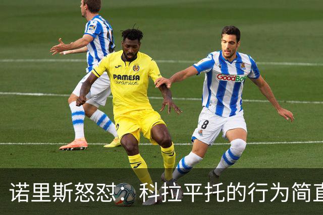 诺里斯怒怼：科拉平托的行为简直不值F1车手的称号！